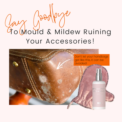 How to care for your bags & accessories in a humid climate & avoid mould / mold and mildew on your accessories!