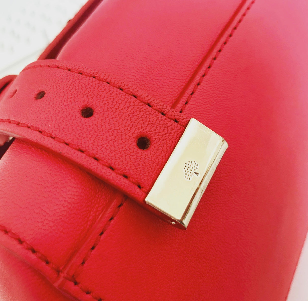 Protectors compatible with OLD Style Mini Alexa Postman Lock